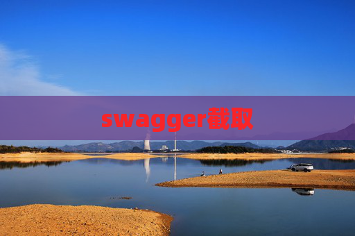 swagger截取